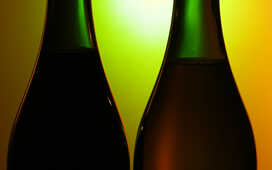 Вредные привычки повышают риск мочекаменной болезни у женщин