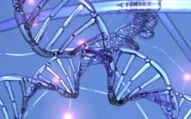 Большинство идиопатических бесплодностей связано с повреждением ДНК