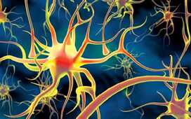 Между периферической невропатией и эректильной дисфункцией есть связь