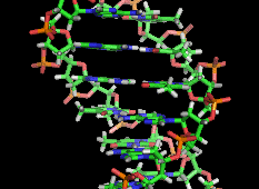 Индивидуальное лечение каждого онкологического пациента