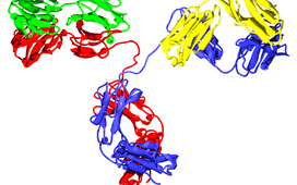 Антитела помогут ПЭТ обнаружить опухоль