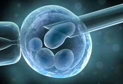 Не в возрасте дело