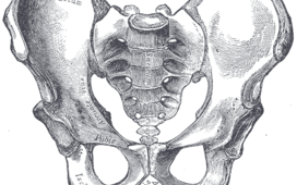 Травму таза нужно лечить сразу с учетом возможности возникновения гиперактивного мочевого пузыря