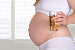 Зачем при беременности следить за анализами мочи?